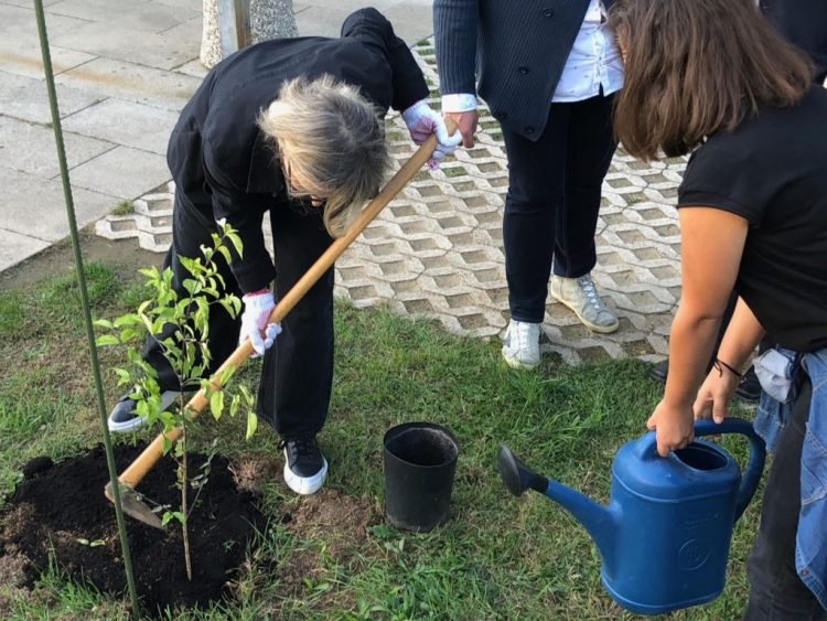 Na Kampusu je u sklopu zelene akcije zasađena aleja drena