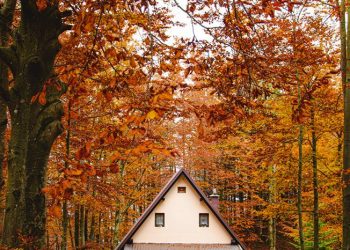 “Volim” – izložba fotografija foto grupe “Baltazar”