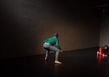 Pogledajmo GLA SANJE / Voic Ing