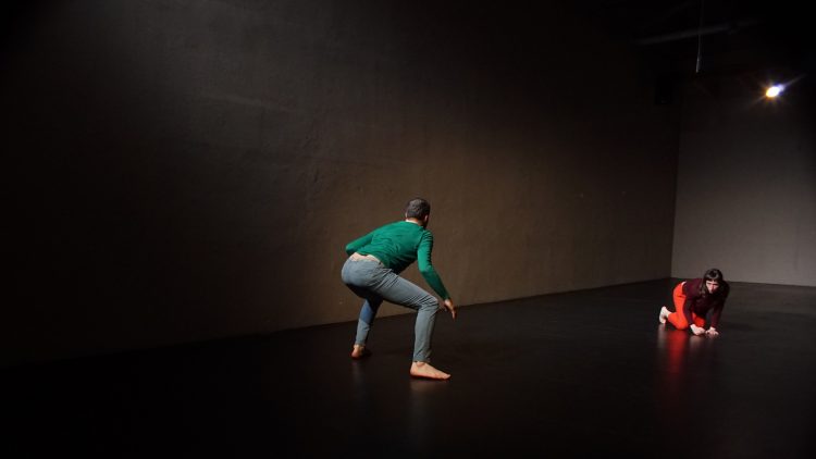 Pogledajmo GLA SANJE / Voic Ing