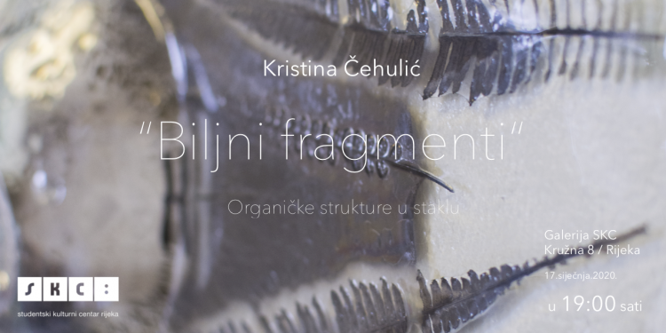 Biljni fragmenti u SKC-u