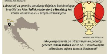 FoodGutBrain – studentski znanstveno- istraživački projekt