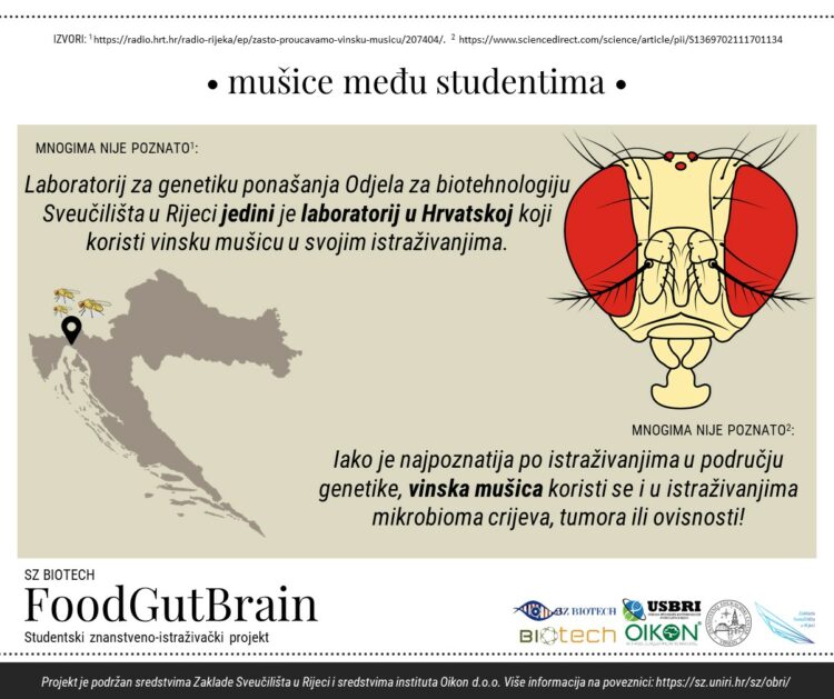 FoodGutBrain – studentski znanstveno- istraživački projekt