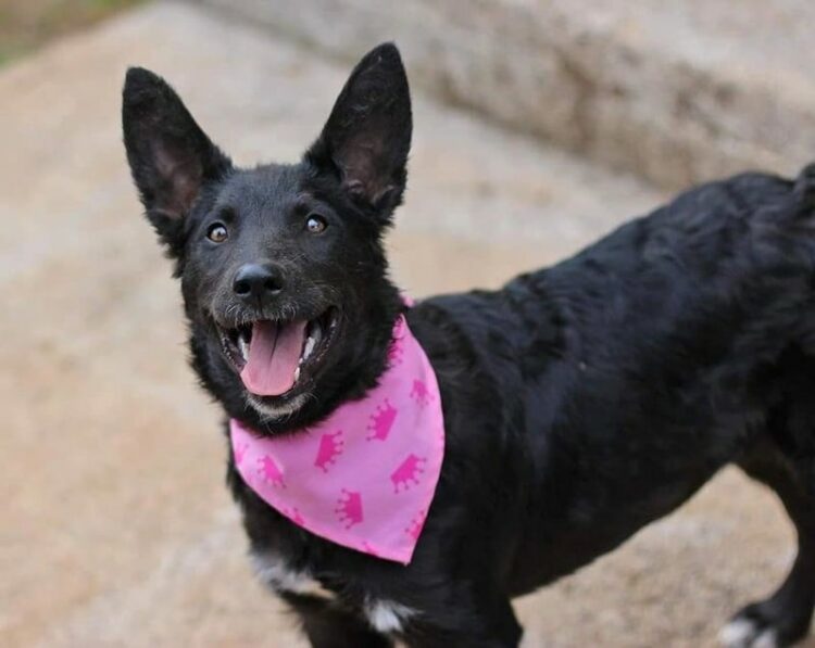 Odvedi me na izlet i učini me sretnim!