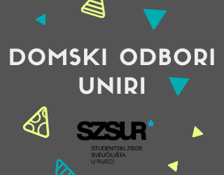 Domski odbori