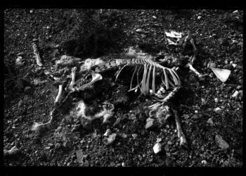 Projekt “Okoliš sjećanja”