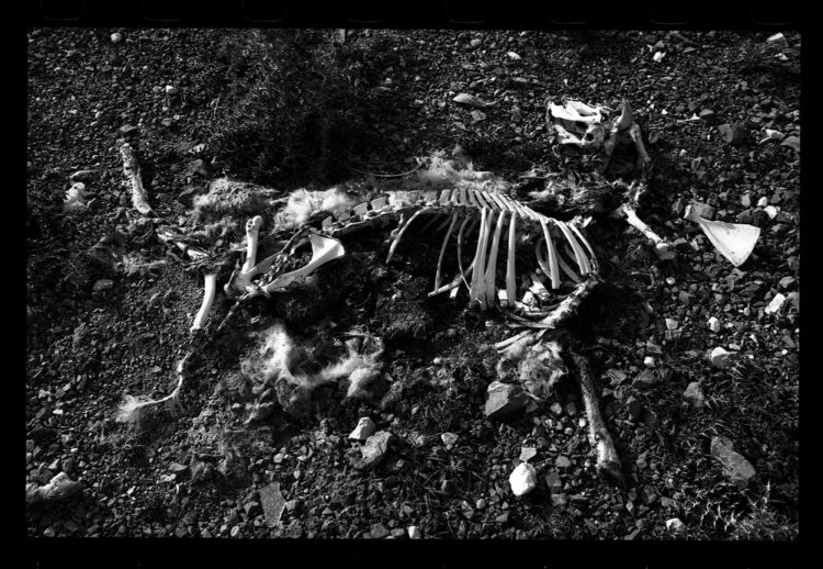 Projekt “Okoliš sjećanja”