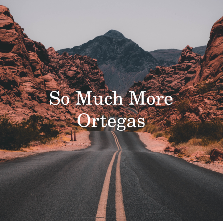 Ortegas: „Dobra će glazba uvijek pronaći put do svog slušatelja!“