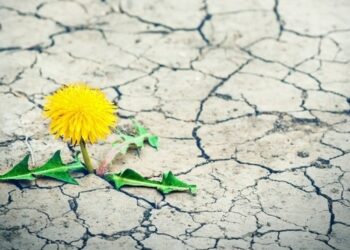 Pobjednici drugog virtualnog COOPAthona – natjecanja u razvoju društveno korisnih ideja