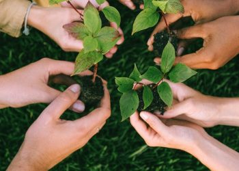 Aktivizam je jedan od boljih -izama