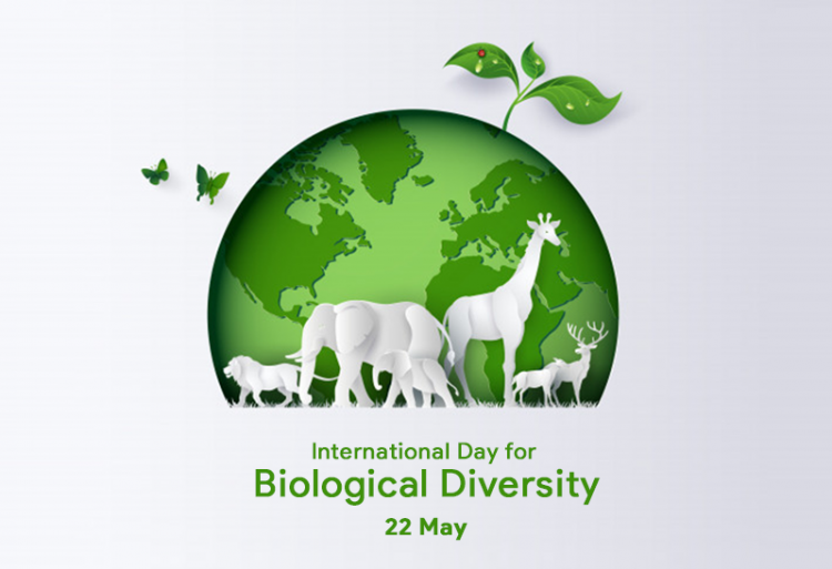 Međunarodni dan biološke raznolikosti