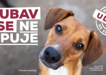 Zašto udomiti, a ne kupiti?