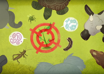 Fascinantan obrambeni mehanizam biljaka