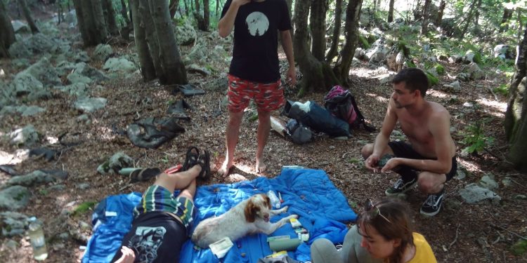 Dnevnik Irene H.: Tripsittanje na Trku u šumu