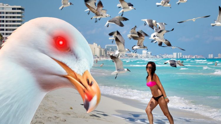 Galebarenje – kako se to radi?