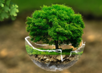 Projekt WASTEREDUCE: Za zaštitu rijeka i obalnih područja