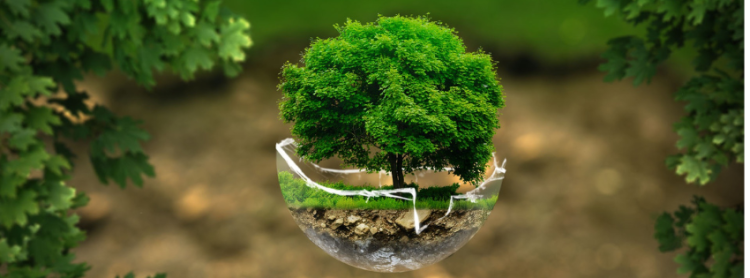 Projekt WASTEREDUCE: Za zaštitu rijeka i obalnih područja